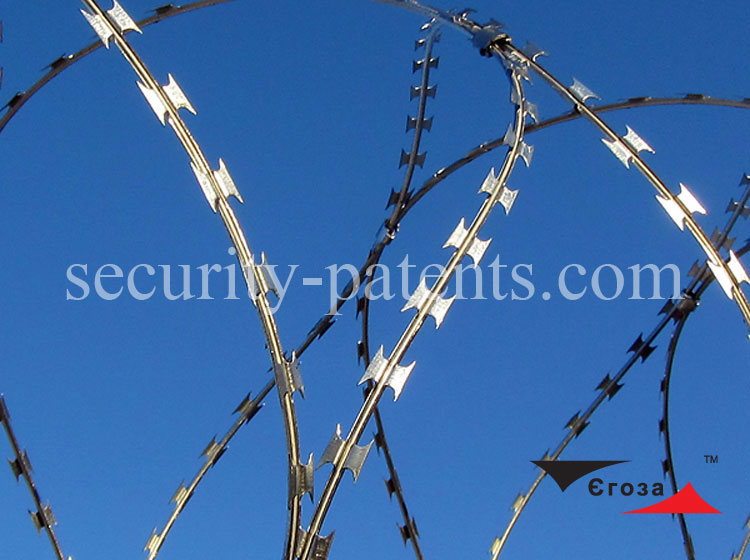 Barbed wire Egoza