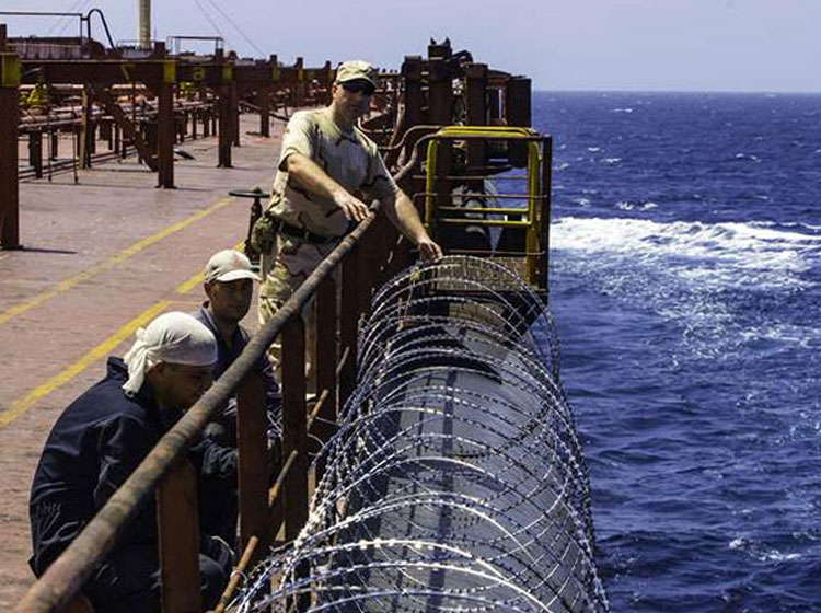 Инженерная защита морских судов «Антипират»