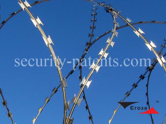 Barbed wire Egoza