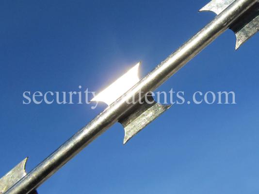 Колючая проволока Егоза