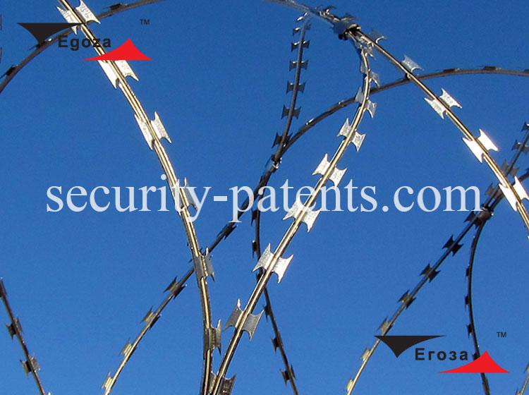 Barbed wire Egoza